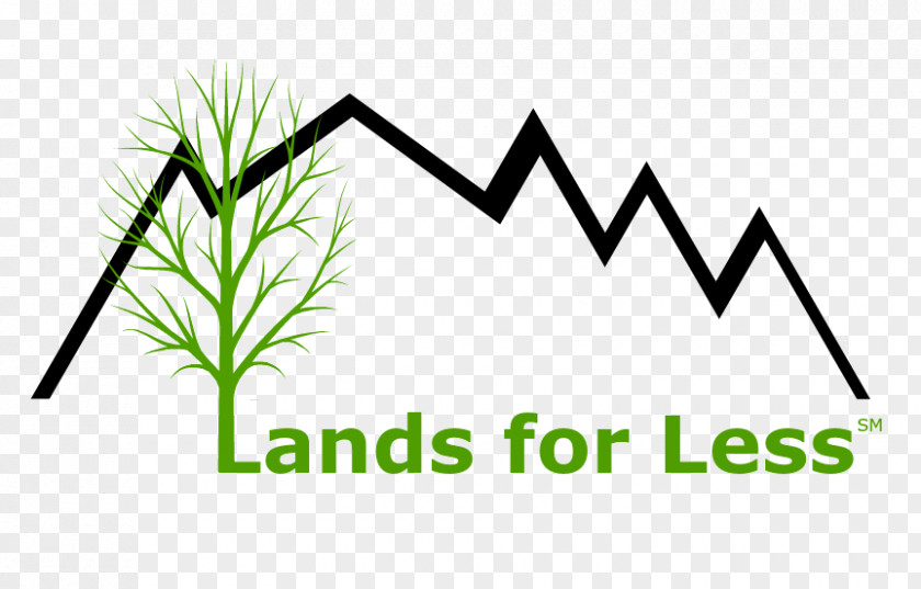 Land For Sale Willow City Loop Lands Less Investment Real Estate Property DeLand PNG