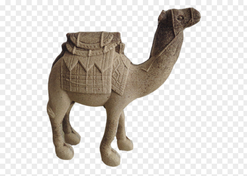 Rough Camel Dromedary Download Computer File PNG