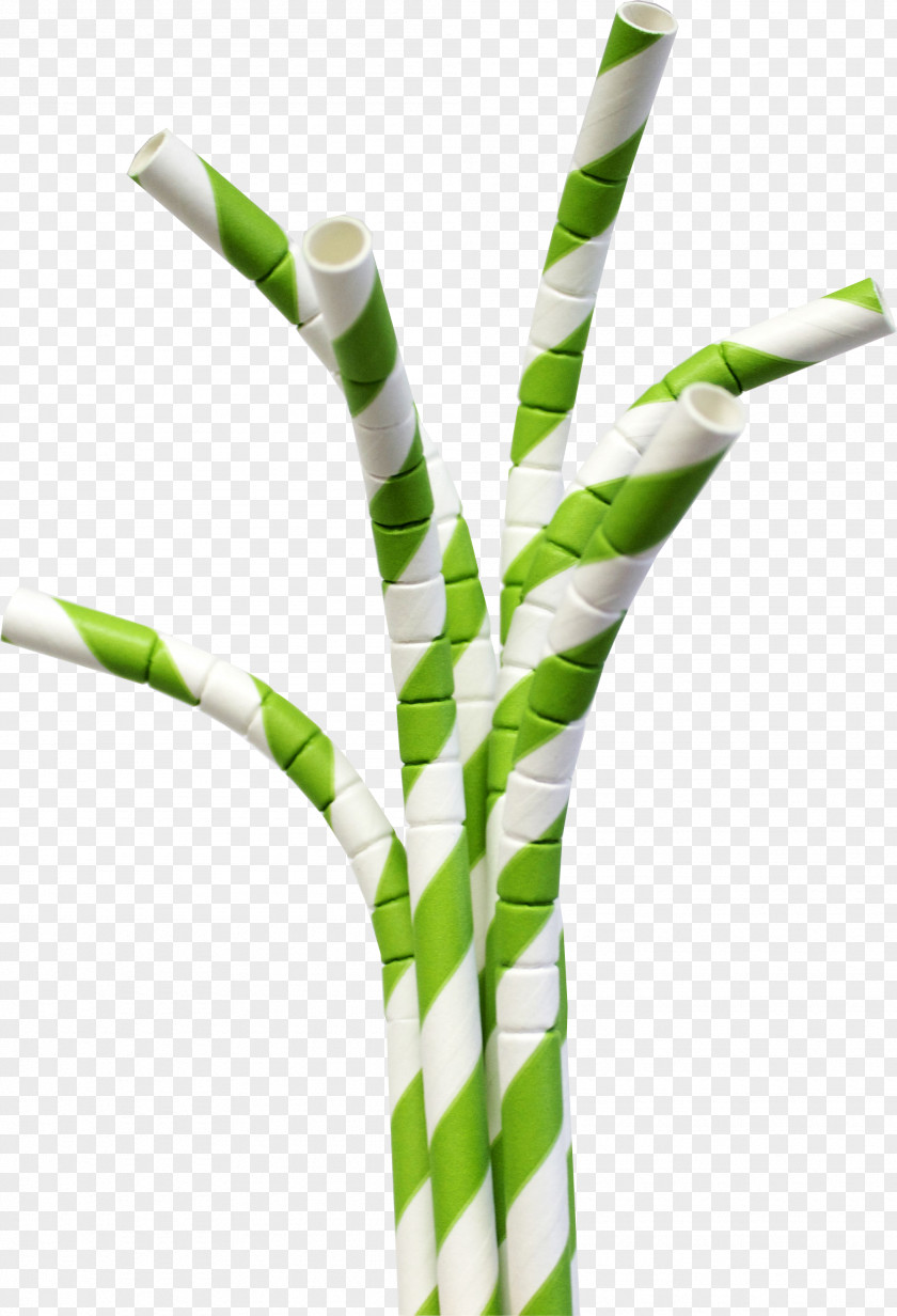 Eco Friendly Paper Drinking Straw Plastic PNG