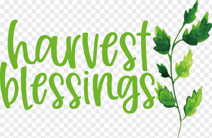 Harvest Autumn Thanksgiving PNG