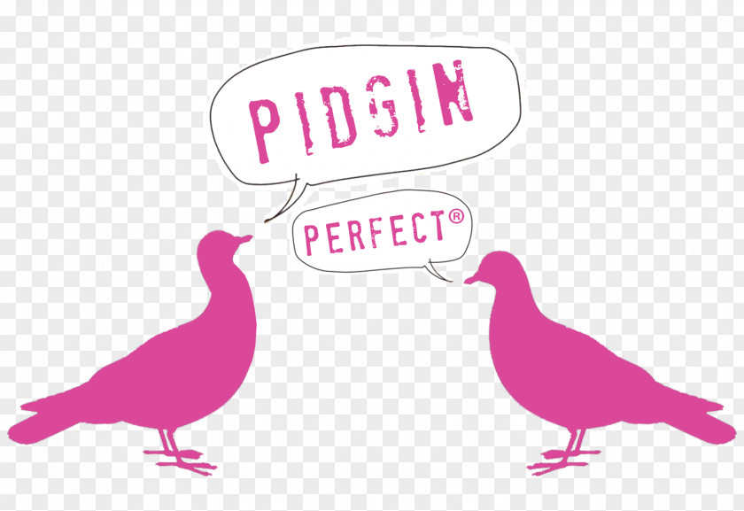 Pink Logo Beak Clip Art Illustration Water Bird PNG