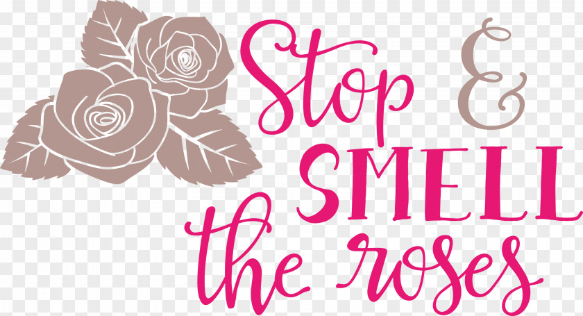 Rose Stop And Smell The Roses PNG