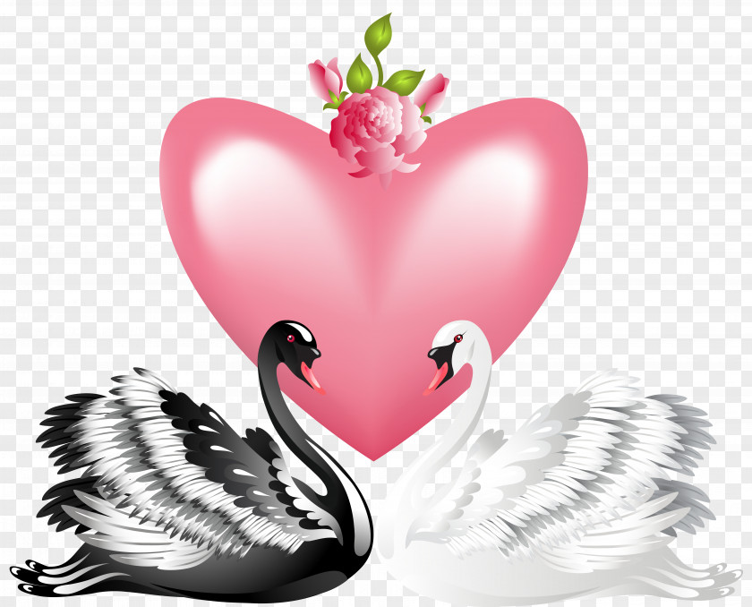 Valentine's Day Love Swans Transparent PNG Clip Art Image Swan Heart PNG
