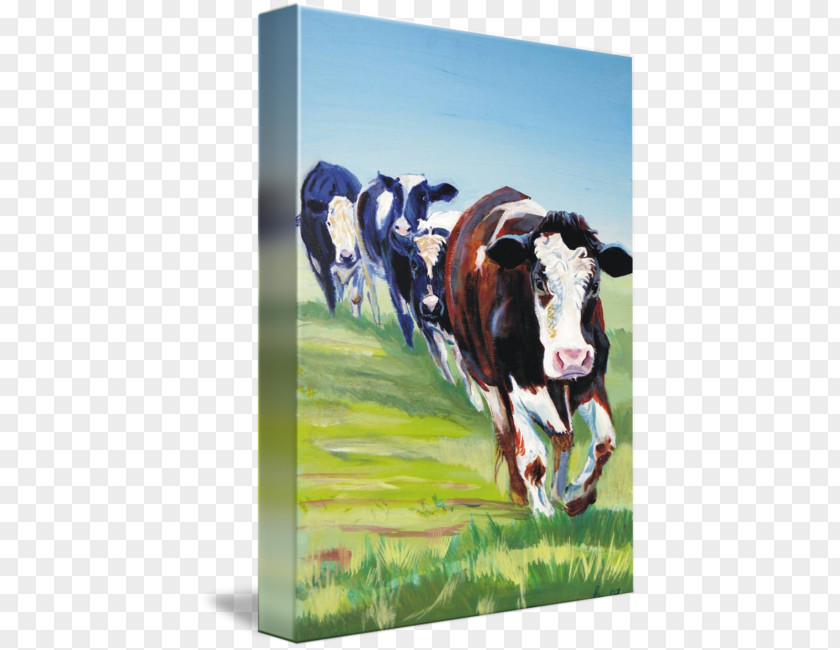 WATERCOLOR COWS Dairy Cattle Holstein Friesian Angus Taurine Wedding Invitation PNG