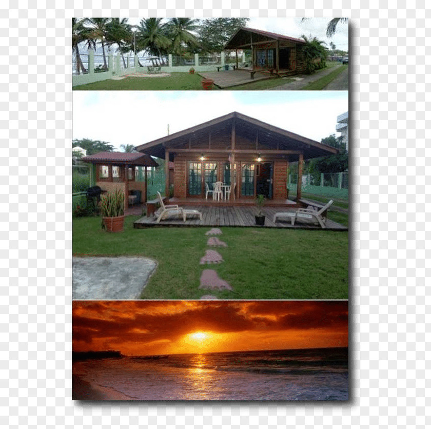 Dormitory Daily Cottage House Villa Beach Log Cabin PNG