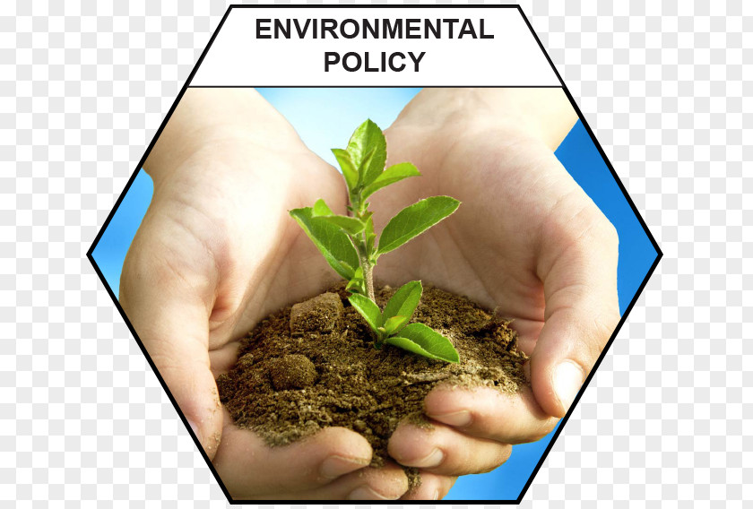 Environmental Firm Ahmedabad Business Service Natural Environment Stock Photography PNG