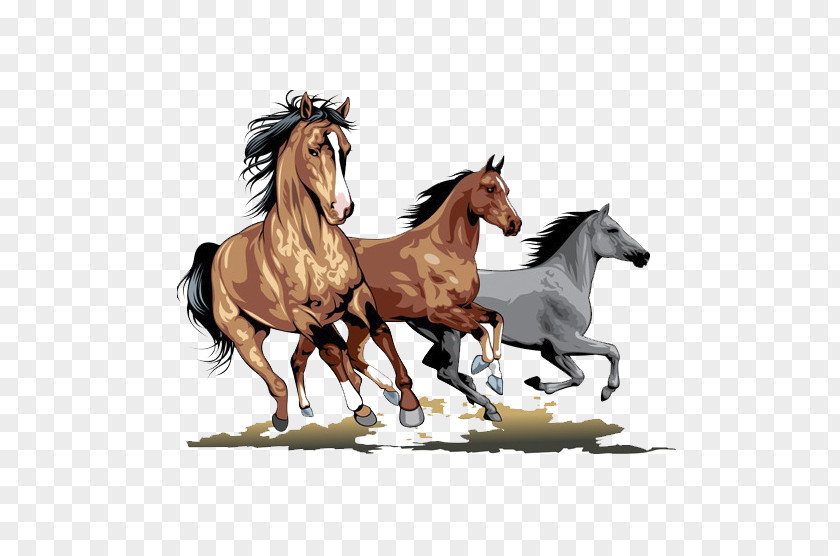 Running Horse Stallion Clip Art PNG
