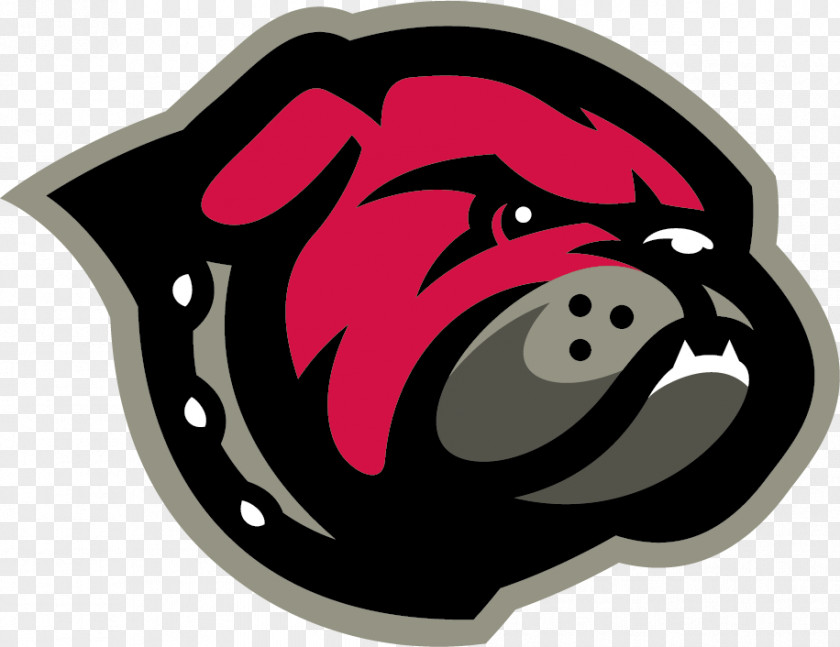 University Of Montana Western Bulldogs Football Men's Basketball Providence PNG