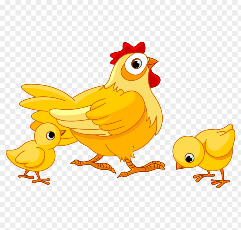 Chicken Image Royalty-free Vector Graphics Clip Art PNG