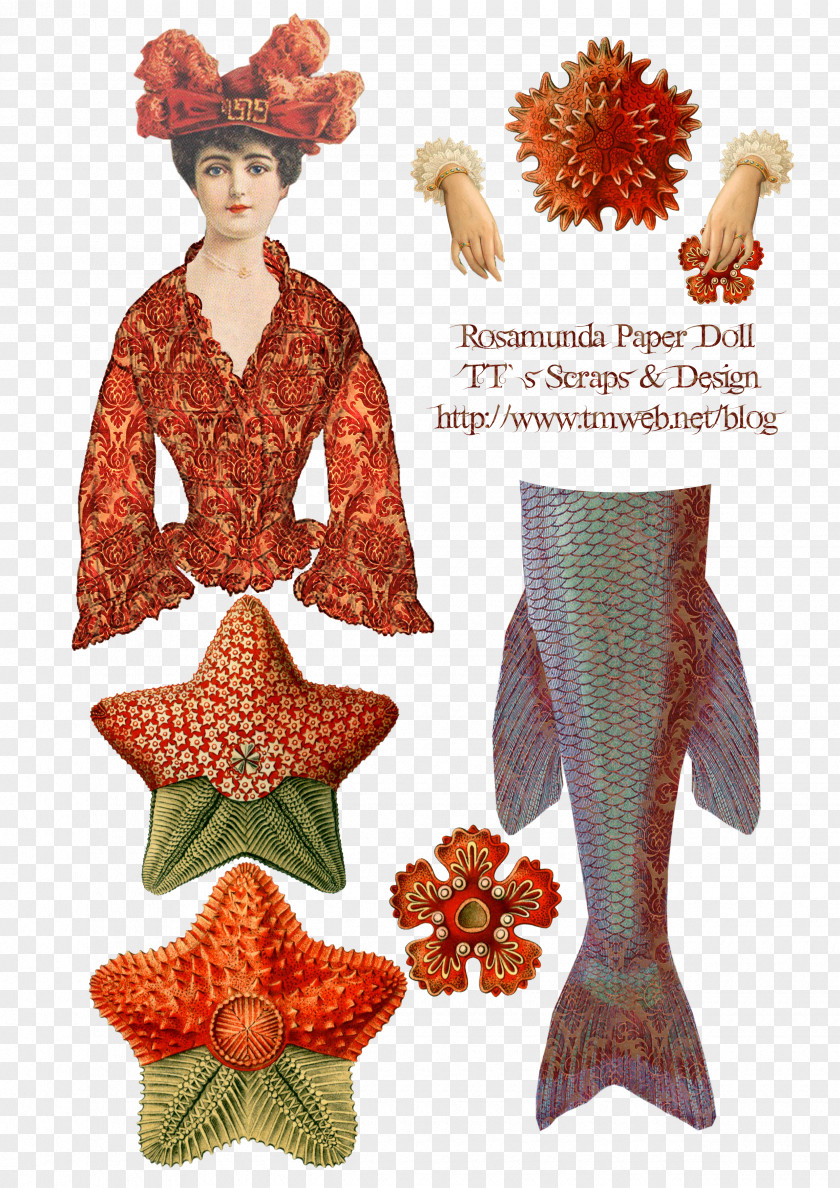 Doll Paper Collage Toy PNG