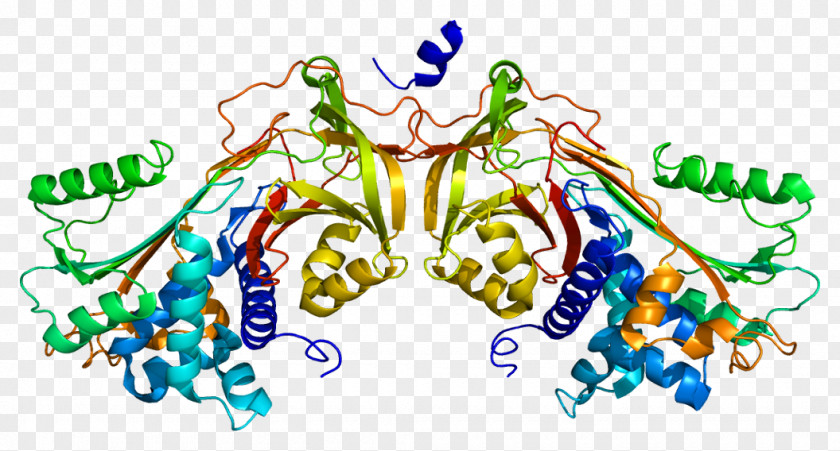 Gamma Globulin Heparin Cofactor II Antithrombin Properdin Plasminogen Activator Inhibitor-2 PNG