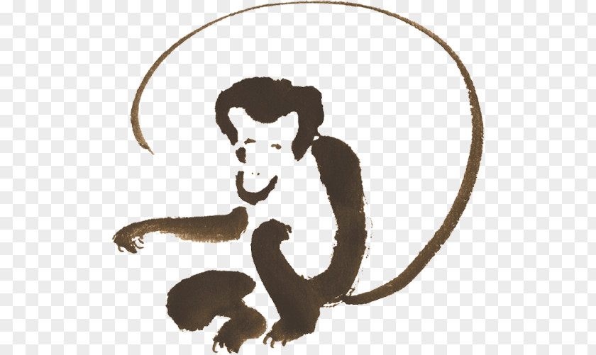 Lion Primate Cat Monkey PNG
