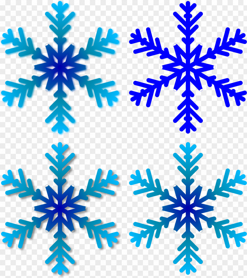 Snowflake Galway Food Tours Wild Atlantic Way Clip Art PNG