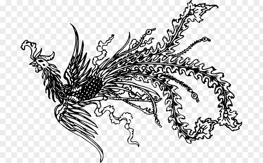 Black Phoenix Fenghuang County Motif PNG