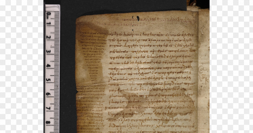 Book The Voynich Manuscript Text Chữ Viết PNG