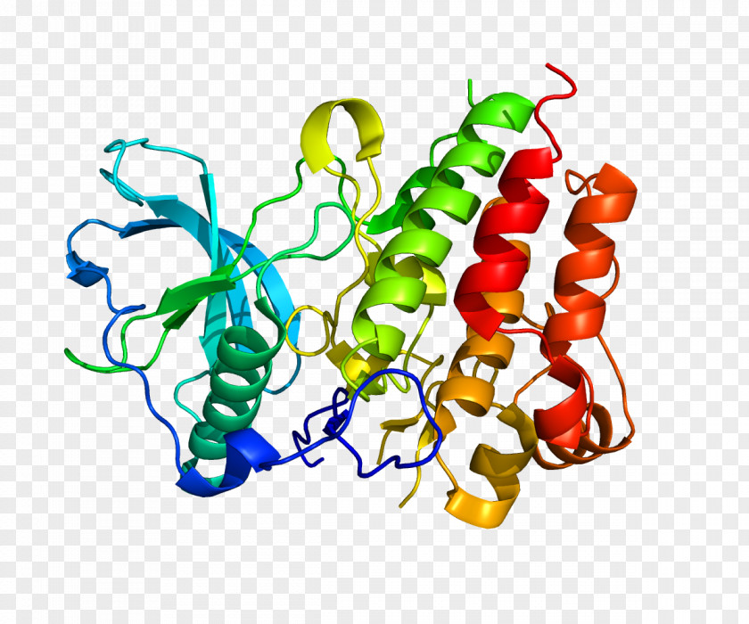 Colony Stimulating Factor 1 Receptor Macrophage Colony-stimulating Protein Interleukin 34 PNG