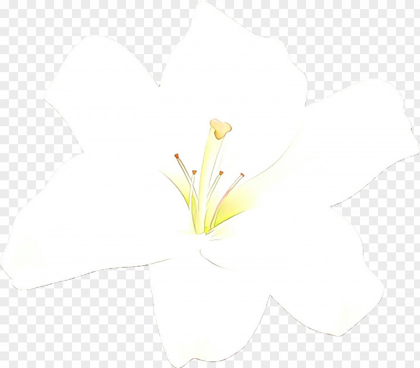 Desktop Wallpaper Flowering Plant Computer Stem Branching PNG