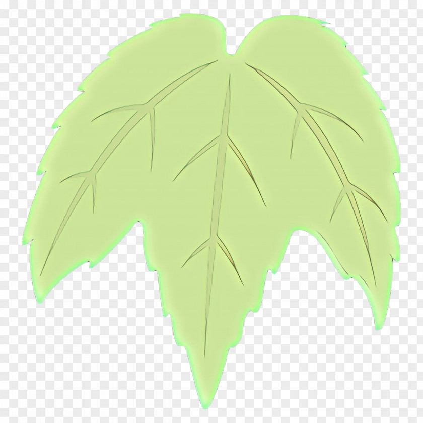Leaf Green Wing Plant Tree PNG