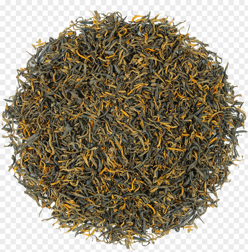 Tea Dianhong Golden Monkey Sencha Nilgiri PNG