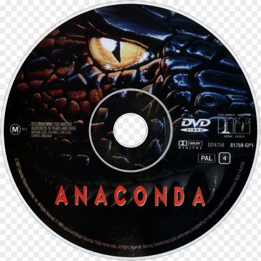 Youtube YouTube Anaconda Paul Sarone Film PNG