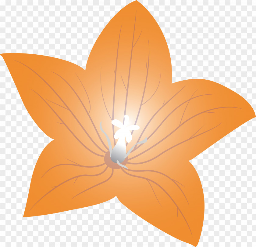 Balloon Flower PNG