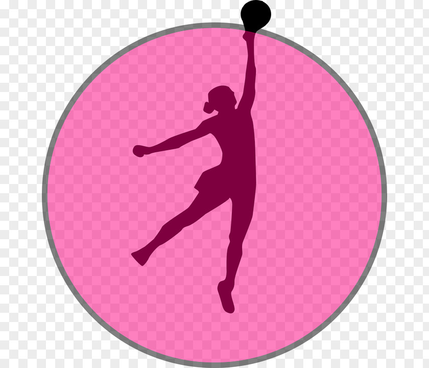 Netball Court Silhouette New South Wales Swifts Clip Art PNG