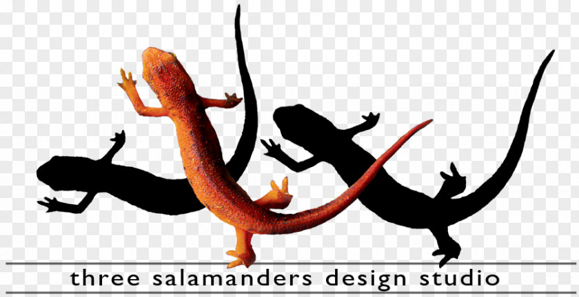 Retouching Studio History Of Graphic Design Salamander PNG