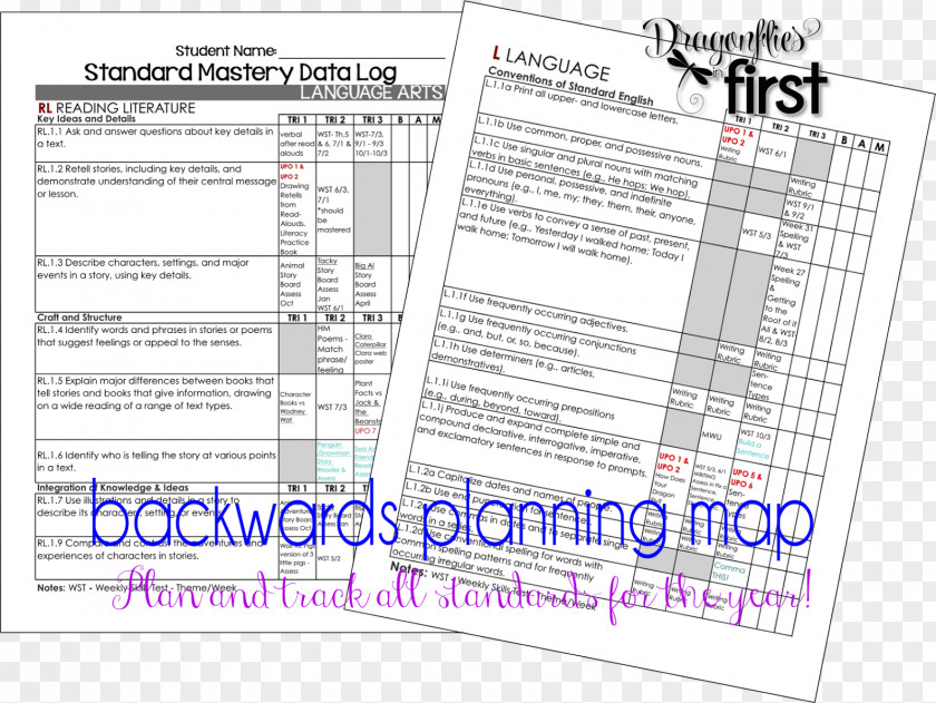 School Material Curriculum Mapping Backward Design Lesson Plan Teacher PNG