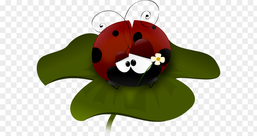 Bugs Clipart Beetle Ladybird Drawing Clip Art PNG
