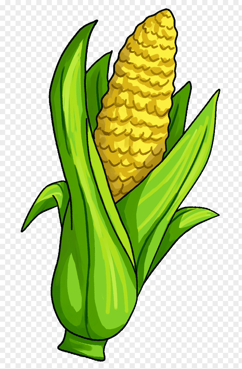 Corn On The Cob Candy Maize Vegetable Clip Art PNG