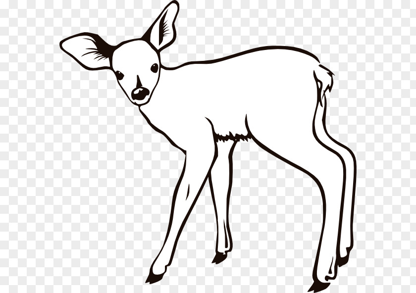 Deer Reindeer White-tailed Coloring Book Clip Art PNG