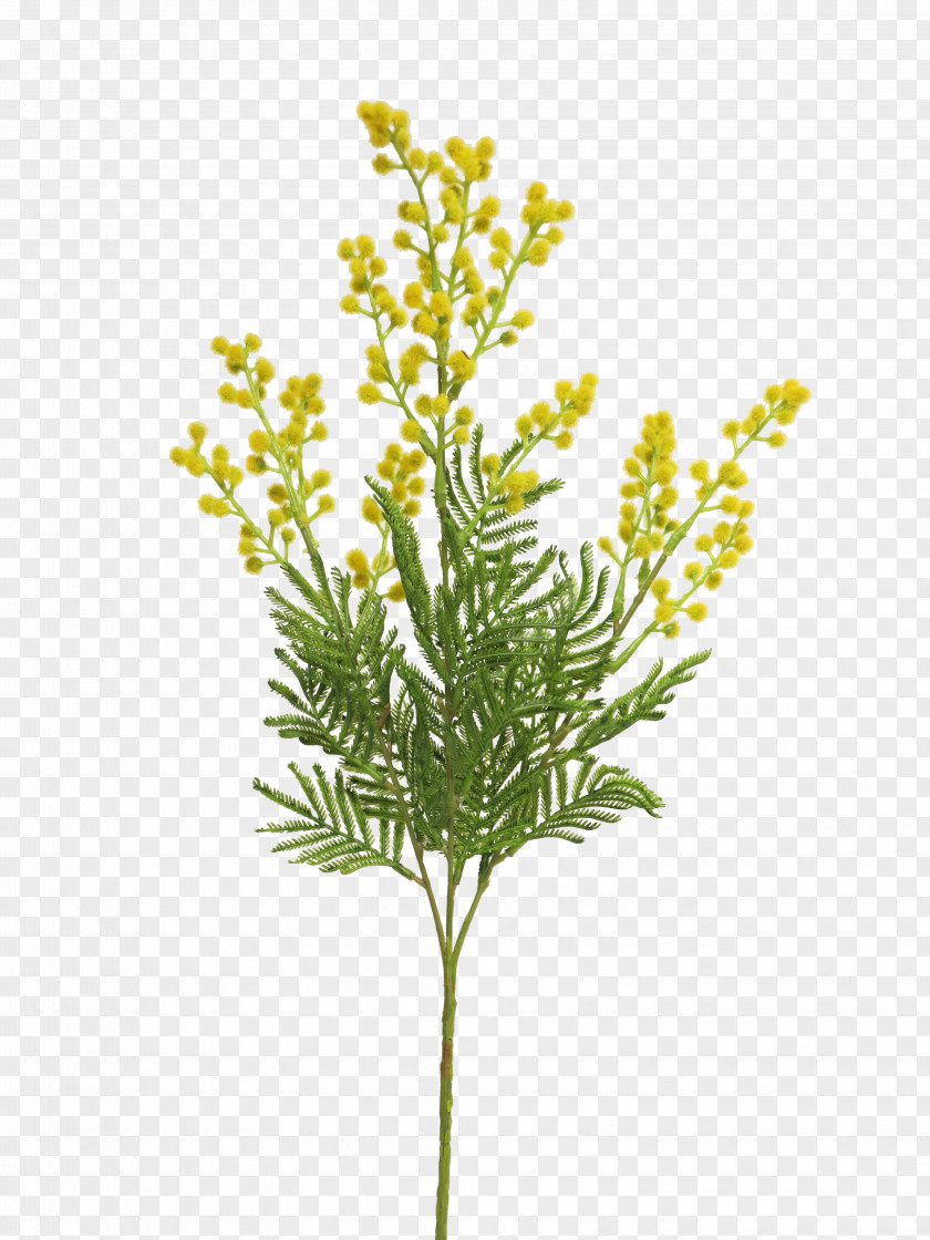 Goldenrod Branch Christmas Tree PNG