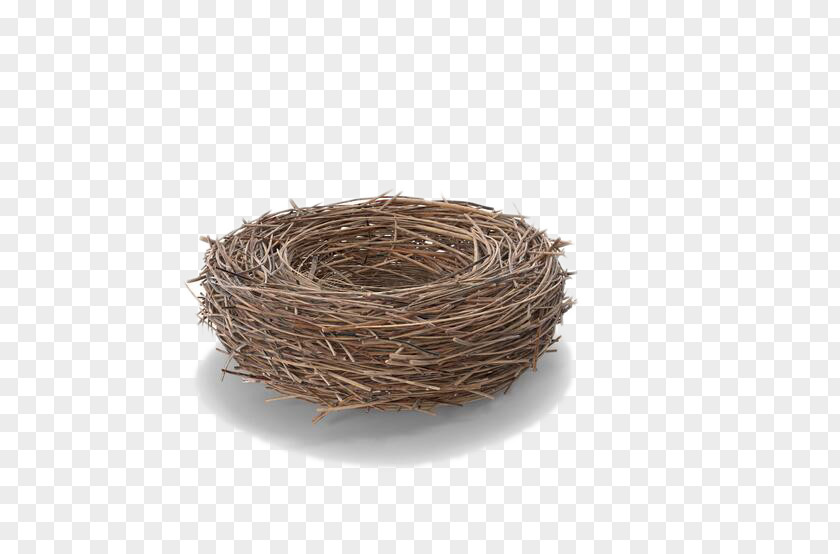 Gray Bird's Nest Edible Birds Bird PNG