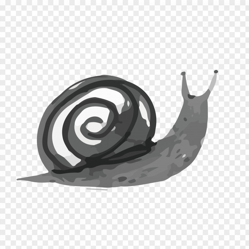 Ink Snail Wash Painting Drawing Watercolor PNG