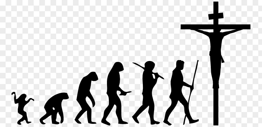 March Of Progress Ape Homo Sapiens Human Evolution PNG