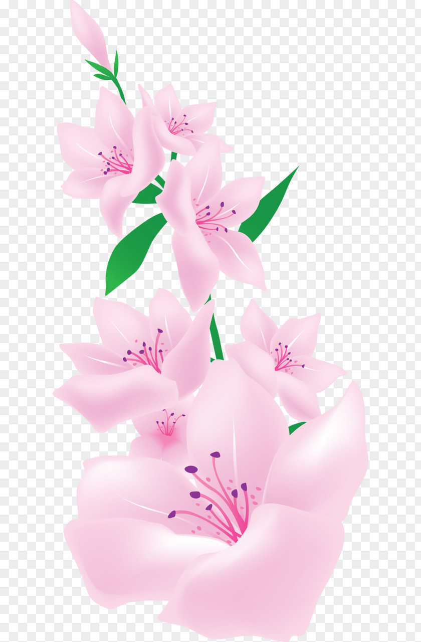 Pink Light Flowers Clip Art PNG