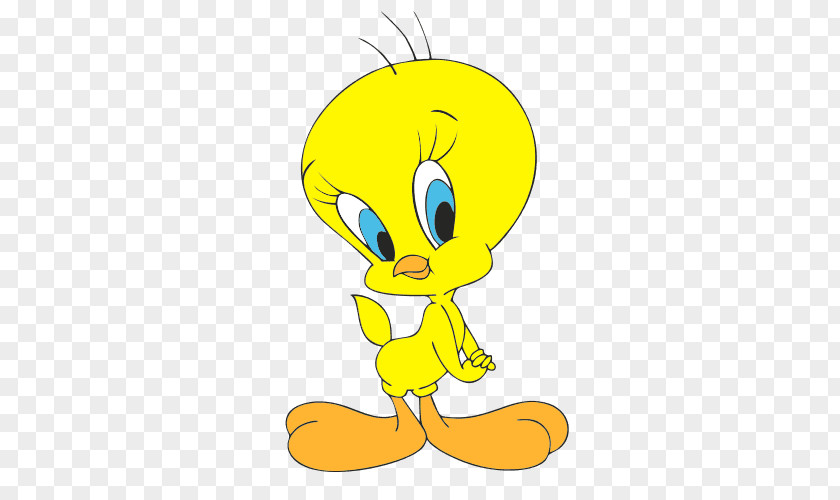 Tweety Drawing Pictures Sylvester Bugs Bunny Cartoon Looney Tunes PNG