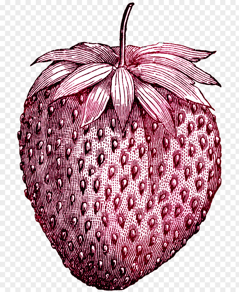 Vintage Strawberry Tattoo Fruit Ice Cream Drawing PNG