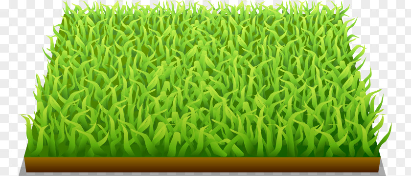 Barley Green Painted Pattern FIFA World Cup Football Pitch PNG