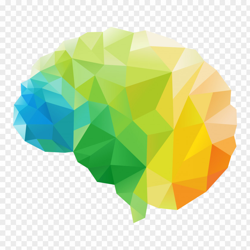 Brain Human Polygon Vector Graphics Clip Art PNG