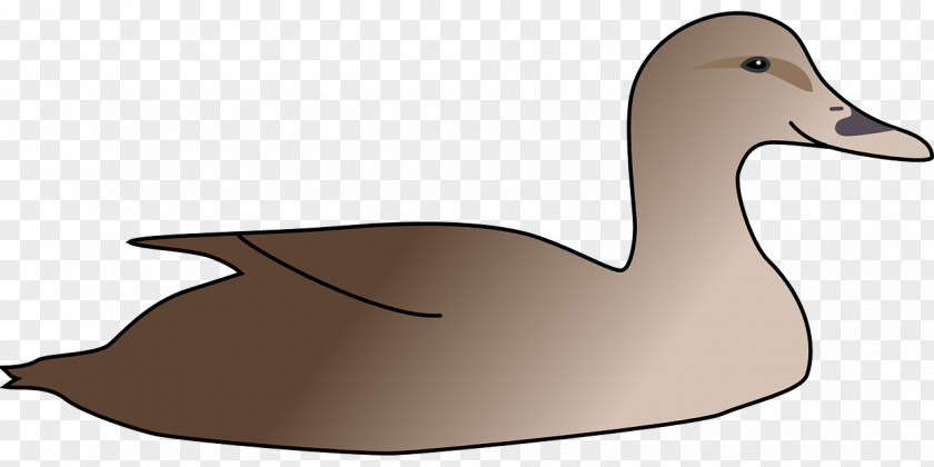 Duck Cygnini Clip Art PNG