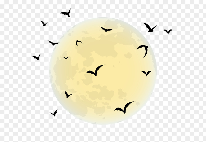Moon Clipart Halloween Desktop Wallpaper Clip Art PNG