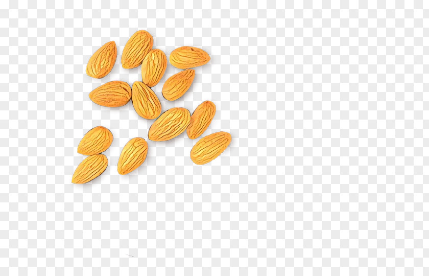 Prunus Superfood Food Almond PNG