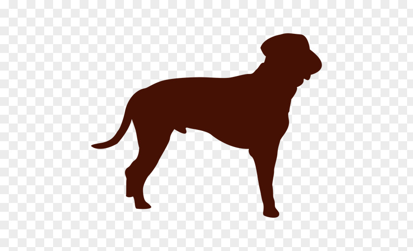 Puppy Labrador Retriever Dog Breed Companion Dobermann PNG