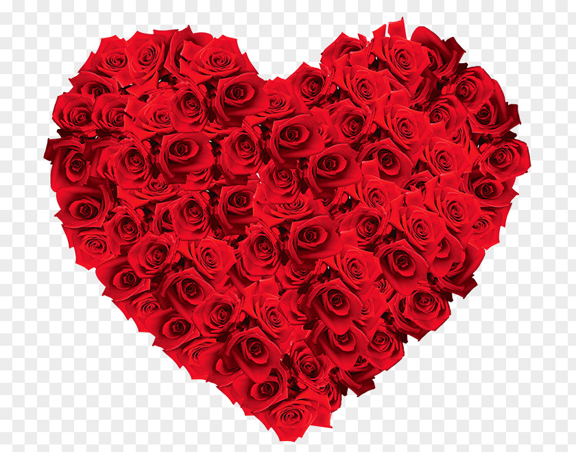 Rose Flower Stock Photography Valentines Day Heart PNG