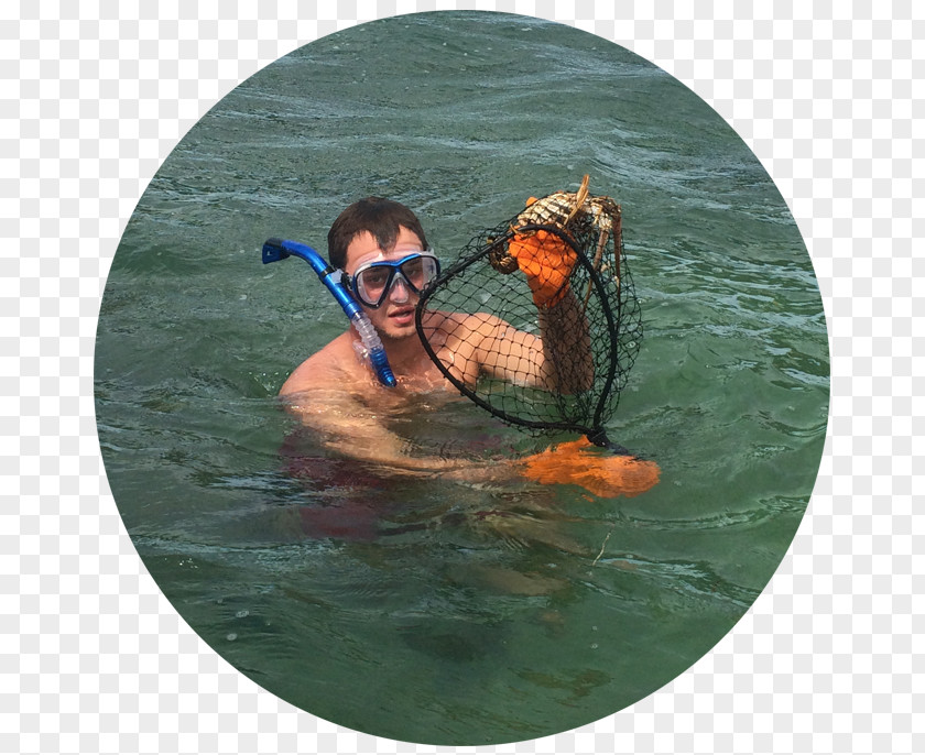 Vacation Goggles PNG