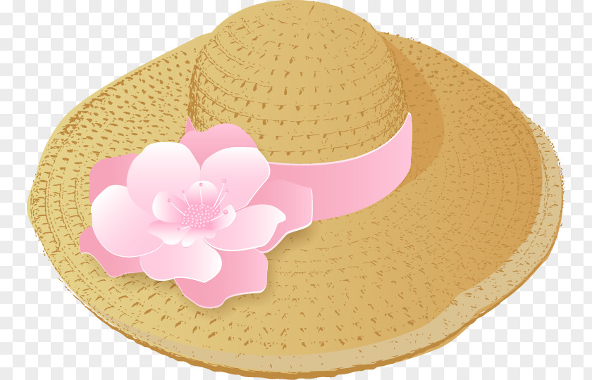 Vector Hat Sun Straw PNG