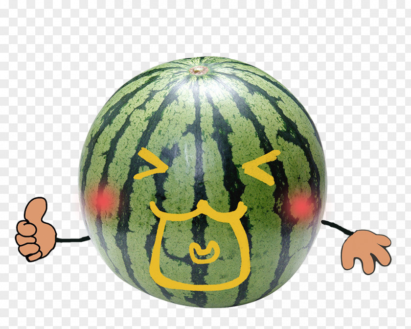 Watermelon Food Sticker Eating PNG
