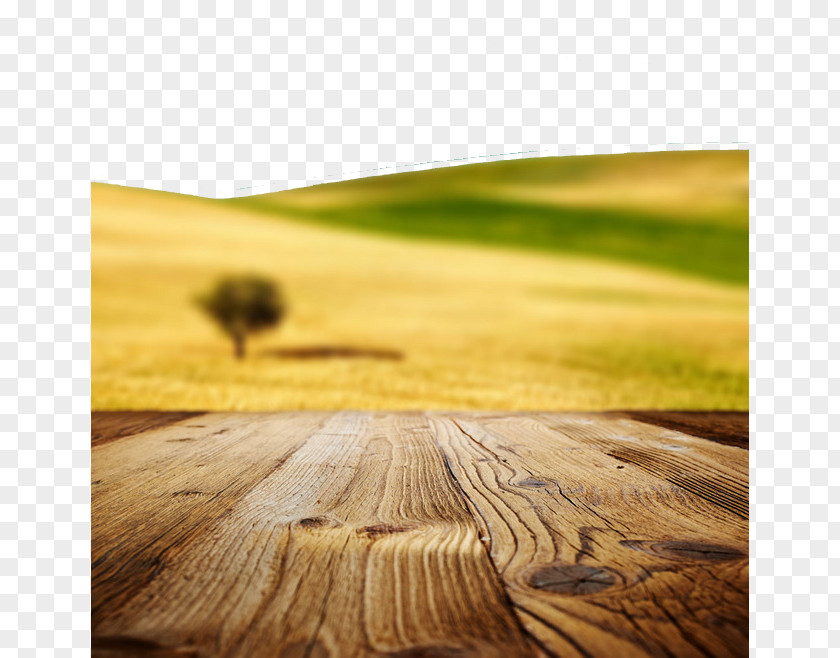 Wood And Distant Landscape Stock Photography Royalty-free Nature Wallpaper PNG