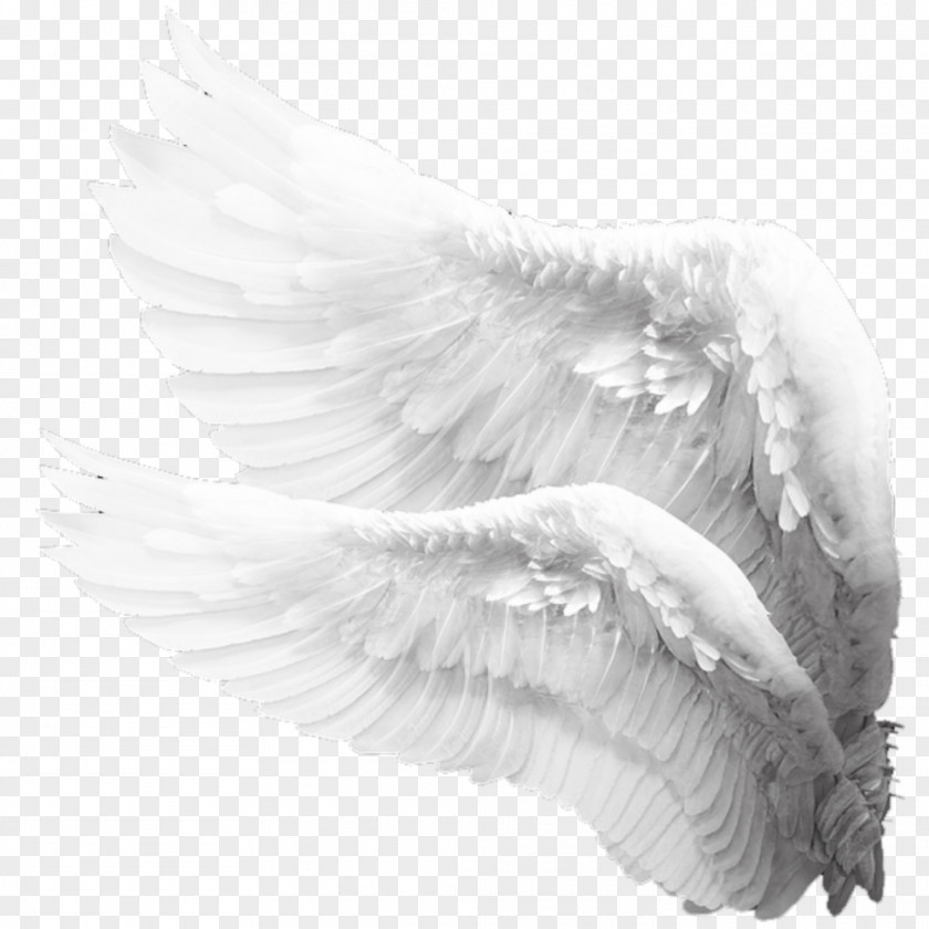 Angelwings Background Drawing Image Angel Stock Photography Painting PNG